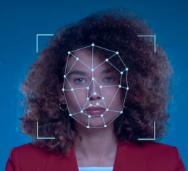 Como Funciona a Carteira de Identidade Digital – Um Guia Completo