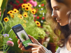 Ler matéria: Descubra os Melhores Aplicativos para Identificar Plantas por Foto
