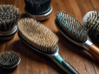 Ler matéria: Melhores escovas para cães de pelo curto: Evite Erros e Aplique Certo