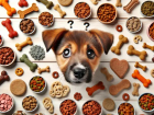 Ler matéria: Melhores rações para cães alérgicos: Dicas Práticas e Soluções Reais