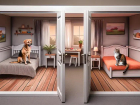 Ler matéria: Como lidar com separação de pets: Dicas Práticas e Soluções Reais