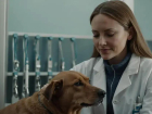 Ler matéria: Cuidados veterinários: Evite Erros e Aplique Certo